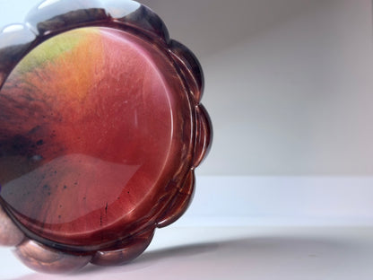 Bloom Form (Brown Smoke)